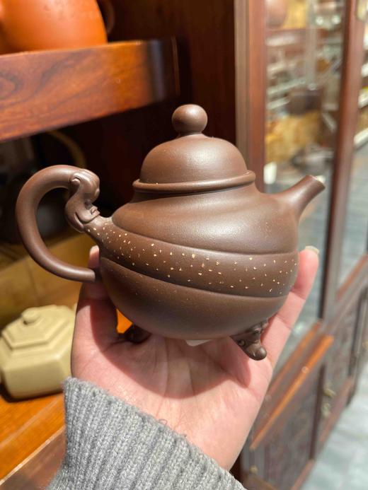 12000张听金 单壶 商品图0