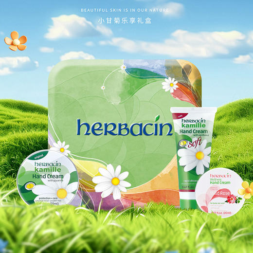 小甘菊乐享礼盒 商品图0