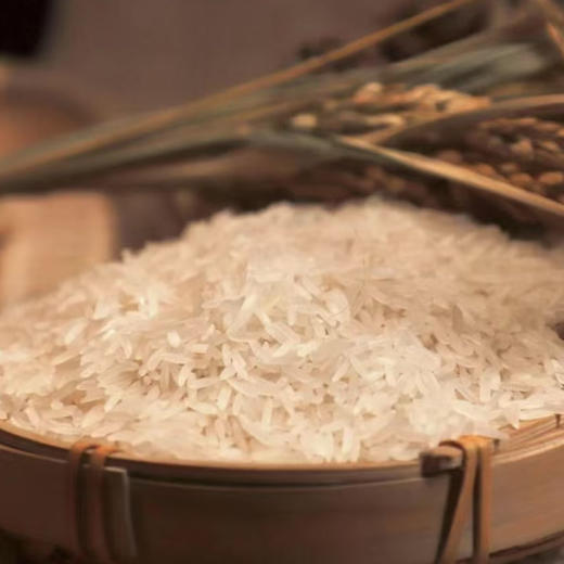 广东香米 5kg 新米长粒香软米籼米农家大米 10 斤装 商品图3