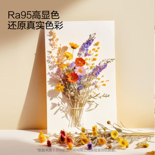 特价🔥悦家卧室吸顶灯 商品图2