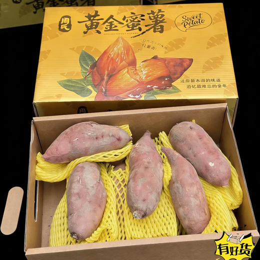 黄金蜜薯 商品图6