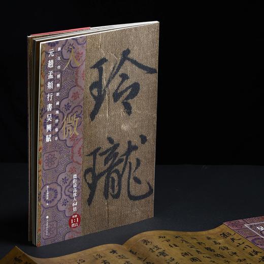 《入微——浙江省博物馆藏瑰宝集萃（书法卷）》 商品图14