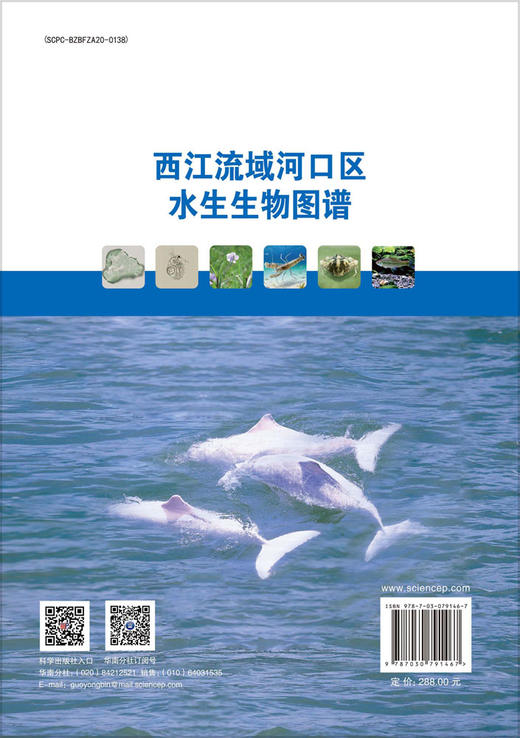 西江流域河口区水生生物图谱 商品图1