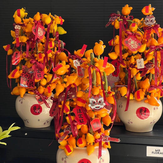 《红红火火》五代果瓶插花 商品图3