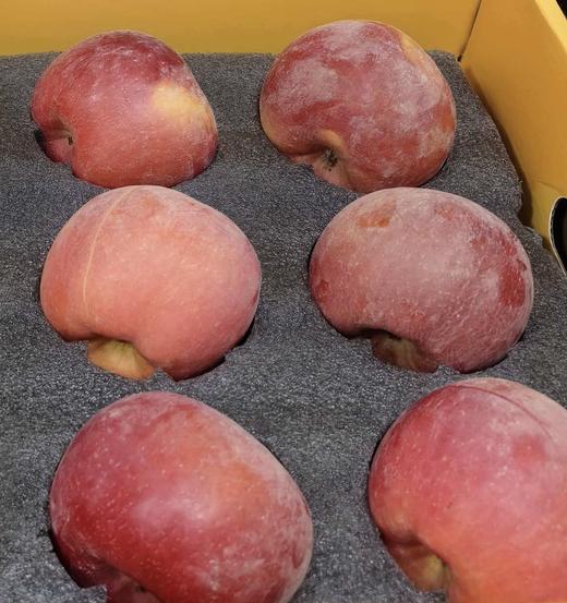 新疆阿克苏樱桃小苹果 果肉瓷实 香味浓郁 个头小巧 商品图2