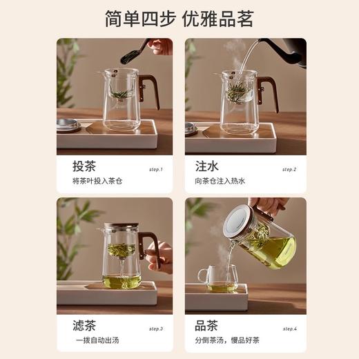 九阳磁吸飘逸杯泡茶壶玻璃泡茶杯茶壶水分离茶具过滤茶器冲茶神器 商品图2