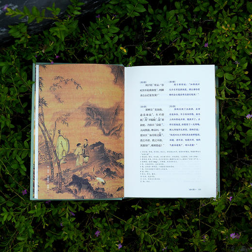 《世说新语》（全本全注全译全彩图本） 商品图10