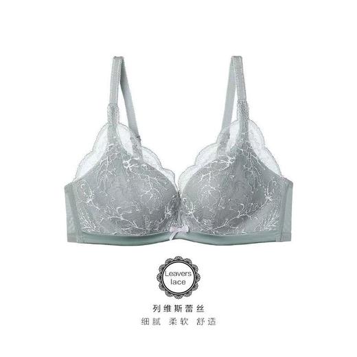 【内衣店庆提前购】【一口价】3楼安莉芳小胸厚杯聚拢无钢圈蕾丝内衣EB00273吊牌价599元现价299元 商品图1