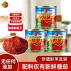 【2罐超值装❗️新疆番茄酱】无任何添加，新疆鲜果直灌，锁住新鲜，保留营养，半球红小包装家用198克直灌非挤压瓶装更新鲜QQ 商品缩略图1