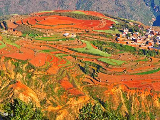 户外@2~8人【花漾滇川】昆明&西昌蓝花楹▪东川红土地▪元谋土林▪攀枝花凤凰花▪大石板村▪七里坝杜鹃花▪黑井古镇▪富民蓝花楹6天 商品图3