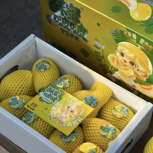 酥蜜超甜香瓜-礼盒 商品图4