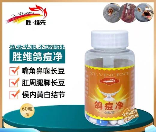 【鸽痘净】痘毒克星/抗痘毒（胜维先） 商品图0