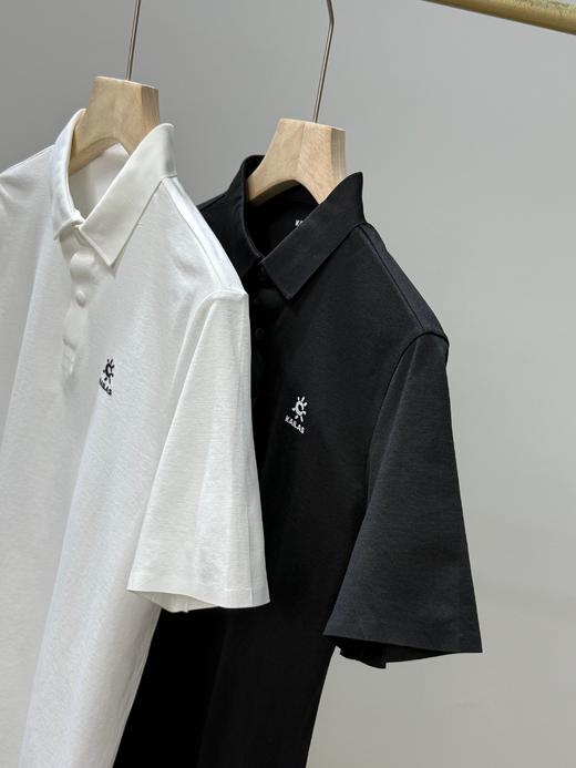 点此购买 凯乐石春夏季男士压胶工艺短袖POLO衫 37 341035 商品图11