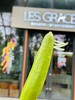 国内首次种植、限量发售的独家蔬菜品种。小巧细长，颜色浅绿，口感清脆。 绿色种植天然采摘0农残👩🌾今早首批次到货！独家品种， 年后减脂必备~ 商品缩略图4