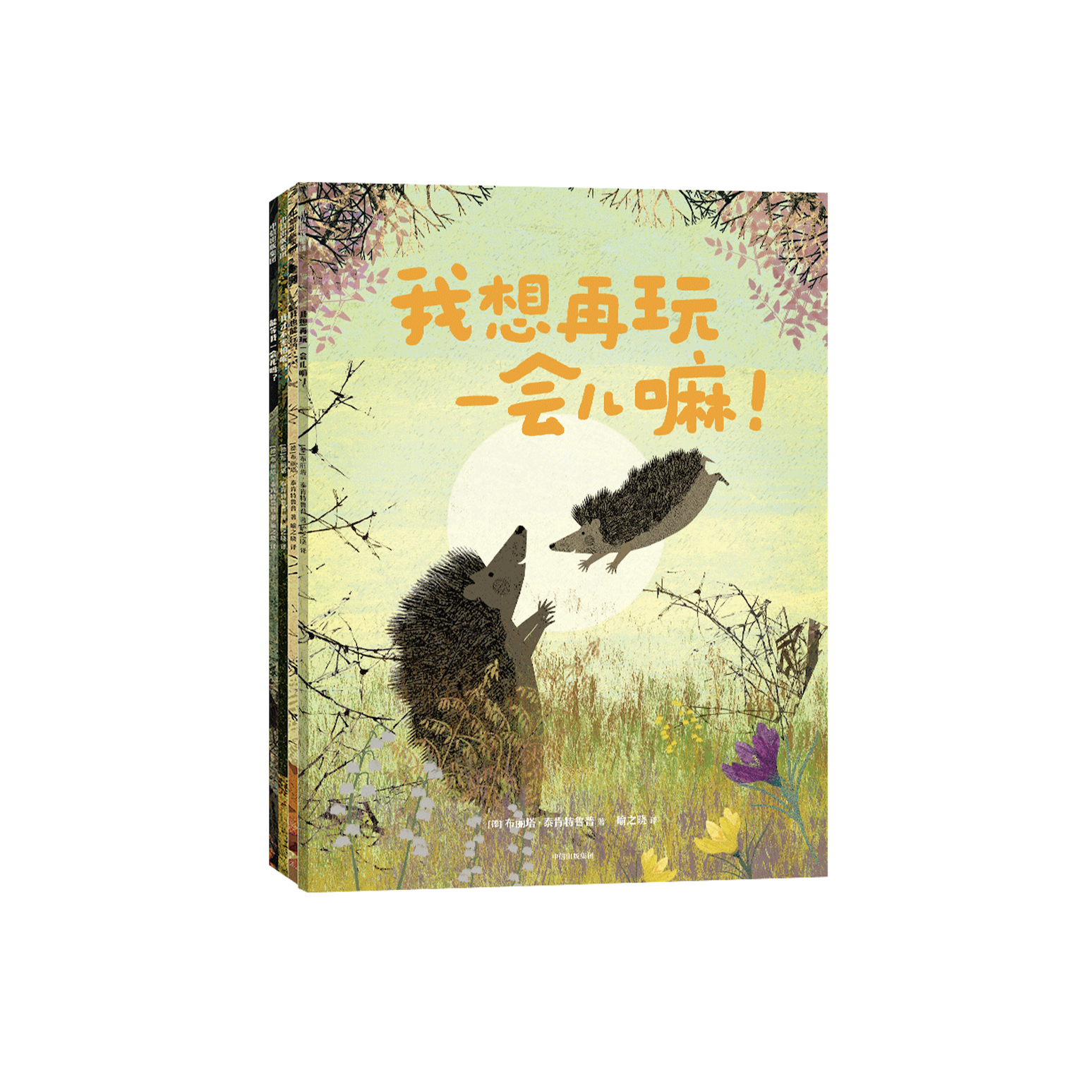 《妈妈，能等我一会儿吗？：帮孩子建立内心安全感的绘本》（全4册）