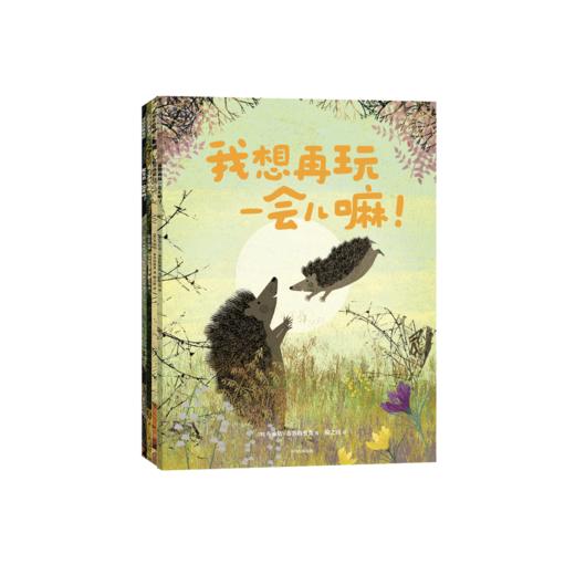 《妈妈，能等我一会儿吗？：帮孩子建立内心安全感的绘本》（全4册） 商品图0