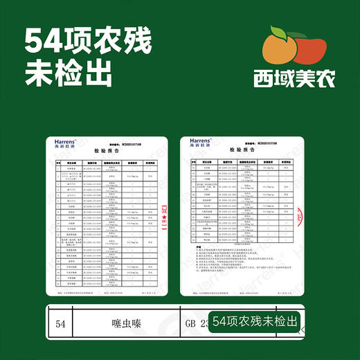 西域美农天目山春笋 新鲜到会“冒水” 的笋 很嫩    云南，贵州，黑龙江，吉林发中通快递，其他区域发顺丰 商品图6