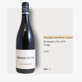 Domaine Jean-Pierre Guyon Bourgogne Côte d'Or Rouge 2023 吉雍酒庄勃艮第金丘干红2023