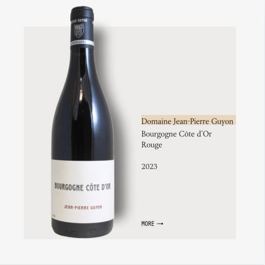 Domaine Jean-Pierre Guyon Bourgogne Côte d'Or Rouge 2023 吉雍酒庄勃艮第金丘干红2023 商品图0
