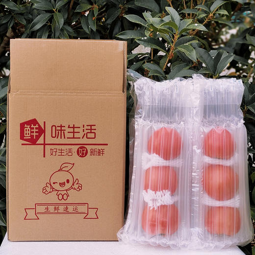 山东普罗旺斯西红柿 净重4.5斤中大果 商品图8