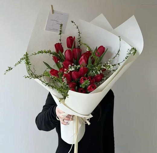 国产郁金香-【法国红】高级红 商品图2