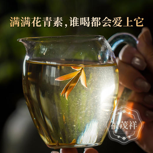 2026年早春头波“鲜中鲜”【紫芽苞】2026年春茶云南普洱生茶勐库大雪山紫芽苞尝鲜装 120g/罐 商品图4