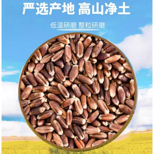 卡什塔西之乡·新疆和田墨玉县黑麦石墨面粉2.5kg 商品图1