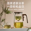 九阳磁吸飘逸杯泡茶壶玻璃泡茶杯茶壶水分离茶具过滤茶器冲茶神器 商品缩略图5