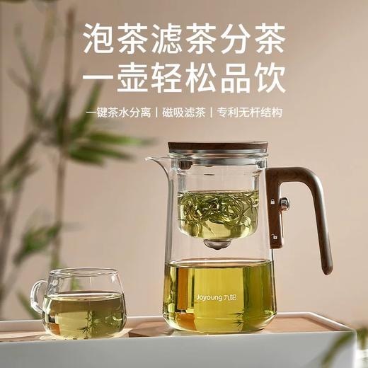 九阳磁吸飘逸杯泡茶壶玻璃泡茶杯茶壶水分离茶具过滤茶器冲茶神器 商品图5
