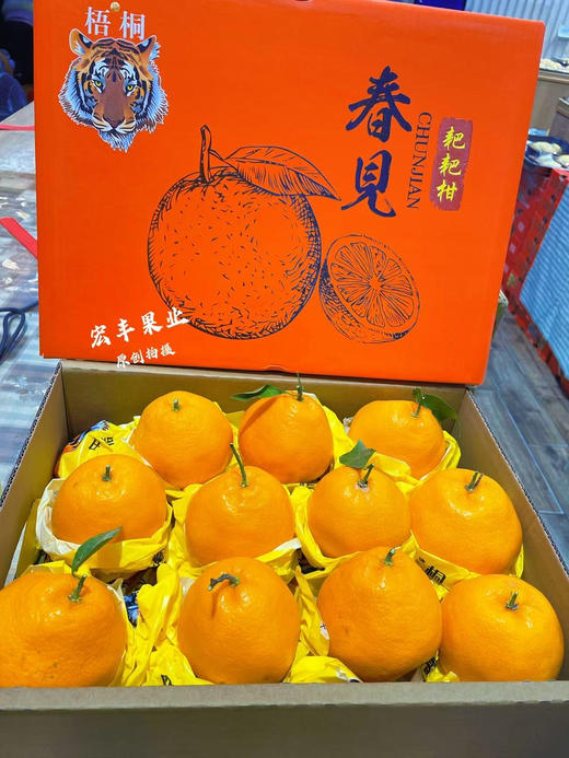 宏丰精选 虎头春见耙耙柑，水份足，口感很好  活动价79元一件 商品图4