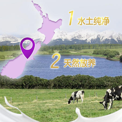 a2臻智护儿童奶粉750g 商品图10