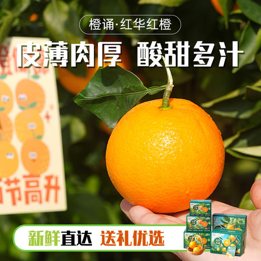 中华红血橙#皮薄肉厚，沁心爽口，化渣爆汁，现摘现发营养元素多 商品图6
