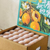 四川攀枝花米易早中枇杷 净重2.5-4.5斤装 顺丰京东直发 商品缩略图12