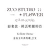 轻奢款【鲜活明媚的诗】金枝玉叶黄玫瑰11支/热烈感/鲜活感/氛围感鲜花/仪式感鲜花 商品缩略图3