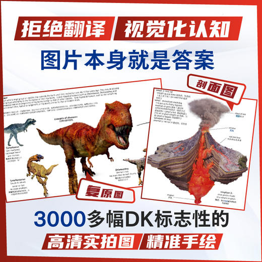 DK韦氏儿童彩图英汉大词典 轻松掌握35000词 8岁+适读 DK英汉双语权威工具书 商品图2