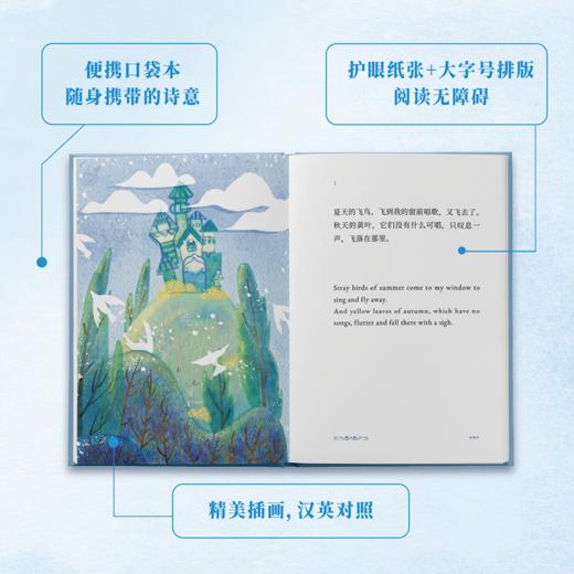 【专属编码+刷边】飞鸟集 泰戈尔中英双语 郑振铎先生译 精装插画版 商品图3