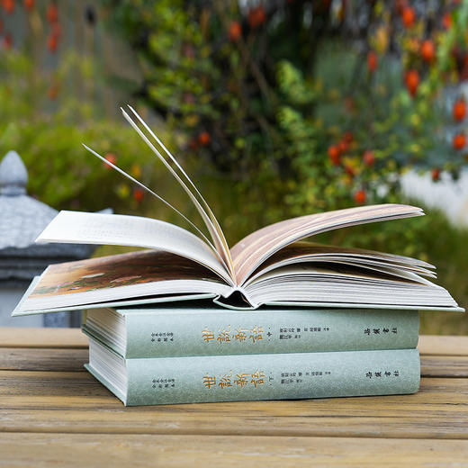 《世说新语》（全本全注全译全彩图本） 商品图4