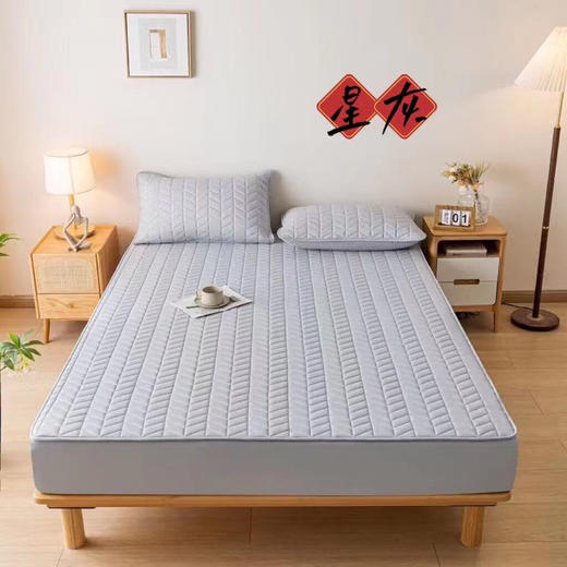 LHX4828A类原棉抗菌大豆夹棉床笠 商品图1