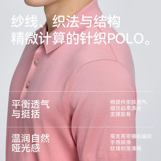 【春夏新品】十如仕男士商务休闲高洁纱毛衣短袖POLO衫P03-02 商品图3