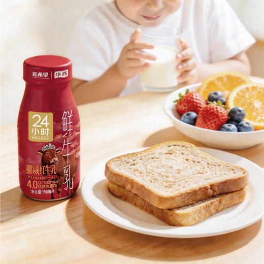 新希望（华西）玻璃瓶24小时挪威红牛乳190ml 商品图5