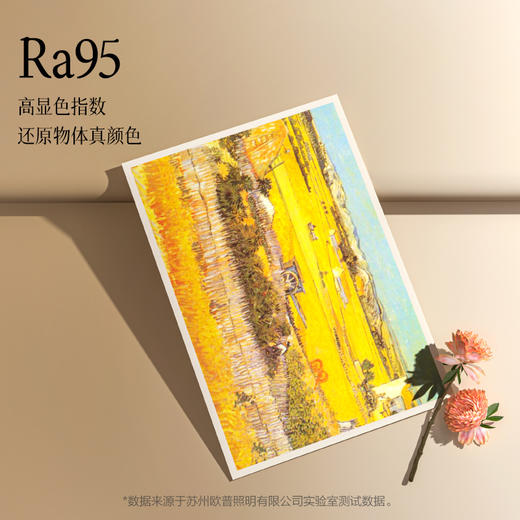 欧普呵护光RA96高显色卧室吸顶灯 商品图3
