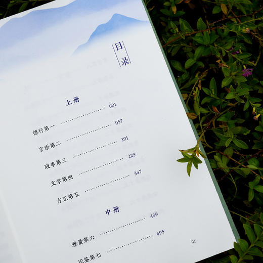 《世说新语》（全本全注全译全彩图本） 商品图9