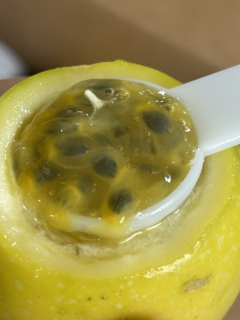 桂蜜5号新品百香果空运到货，鲜甜浓郁 果肉饱满 果汁充盈 回味无穷～