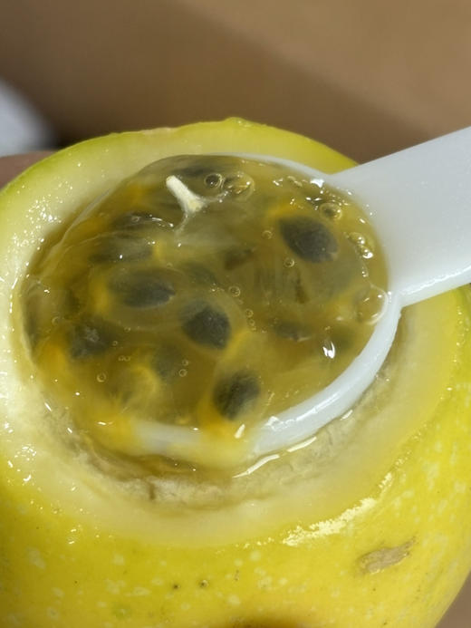 桂蜜5号新品百香果空运到货，鲜甜浓郁 果肉饱满 果汁充盈 回味无穷～ 商品图0
