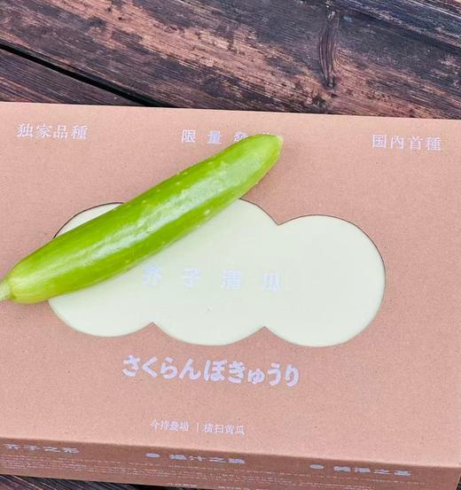 国内首次种植、限量发售的独家蔬菜品种。小巧细长，颜色浅绿，口感清脆。 绿色种植天然采摘0农残👩🌾今早首批次到货！独家品种， 年后减脂必备~ 商品图0