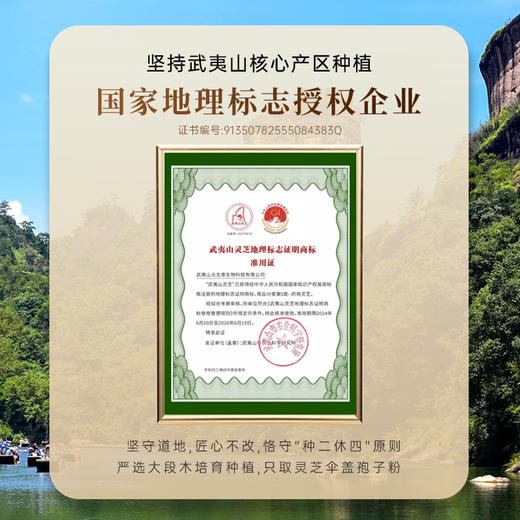 【高三萜23%】固元生泰牌灵芝孢子油软胶囊0.5g*30粒保肝护肝中老年人营养滋补保健品 商品图6