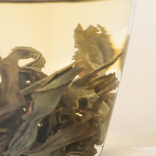 雀舌乌龙茶 商品图7