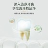 骨碎补草本护齿牙膏 商品缩略图2