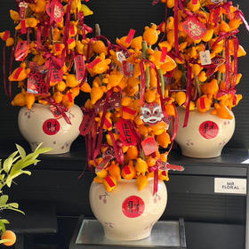 《红红火火》五代果瓶插花