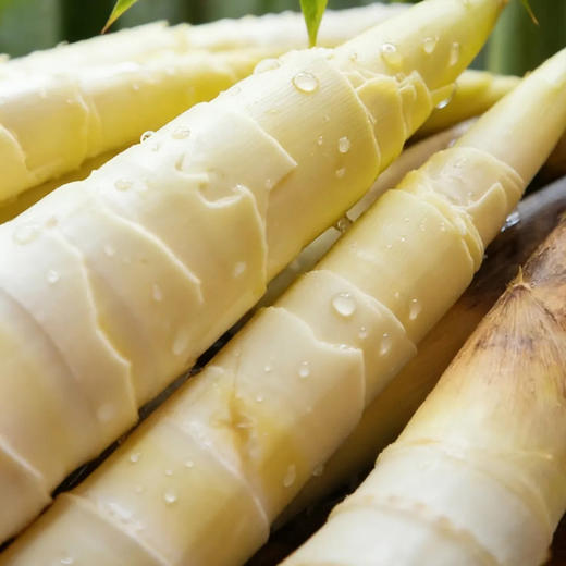 春季限定！20天尝鲜！解腻、刮油，节后必吃！【鲜珥家雷竹笋 】应季现挖中大笋净重3斤装 脆嫩清甜 时令春笋 商品图7